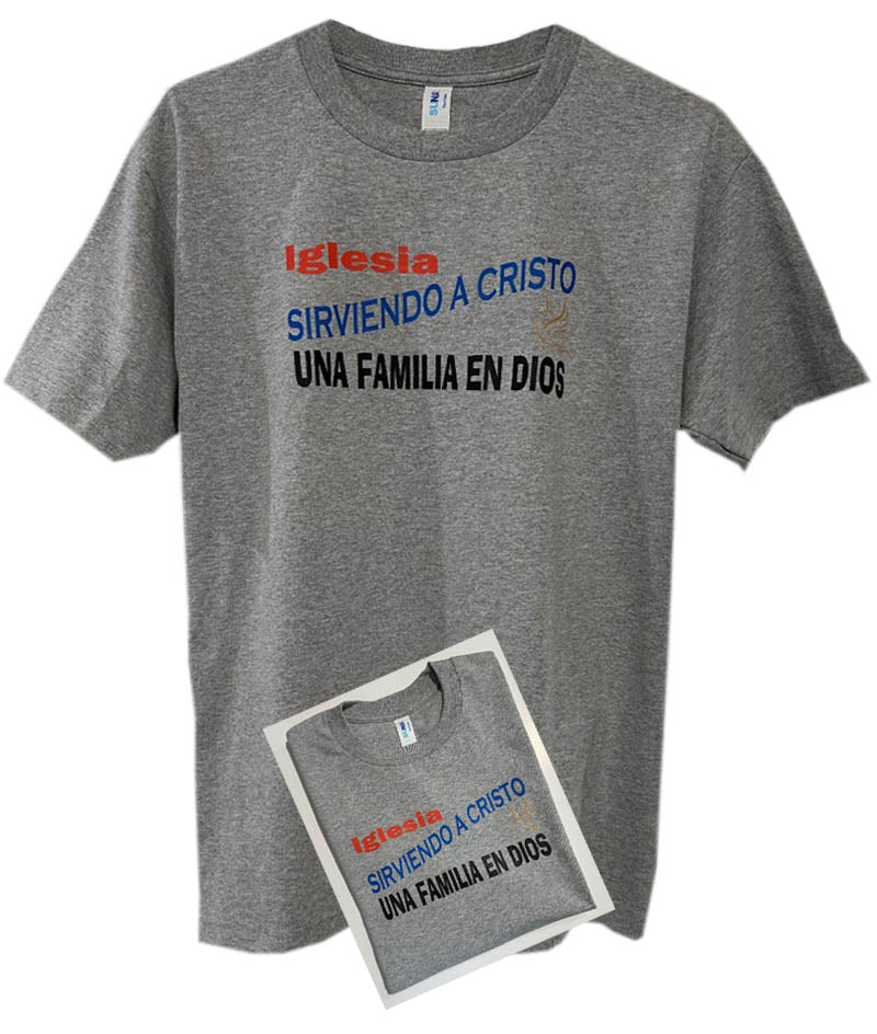 short sleve t-shirt camiseta gris