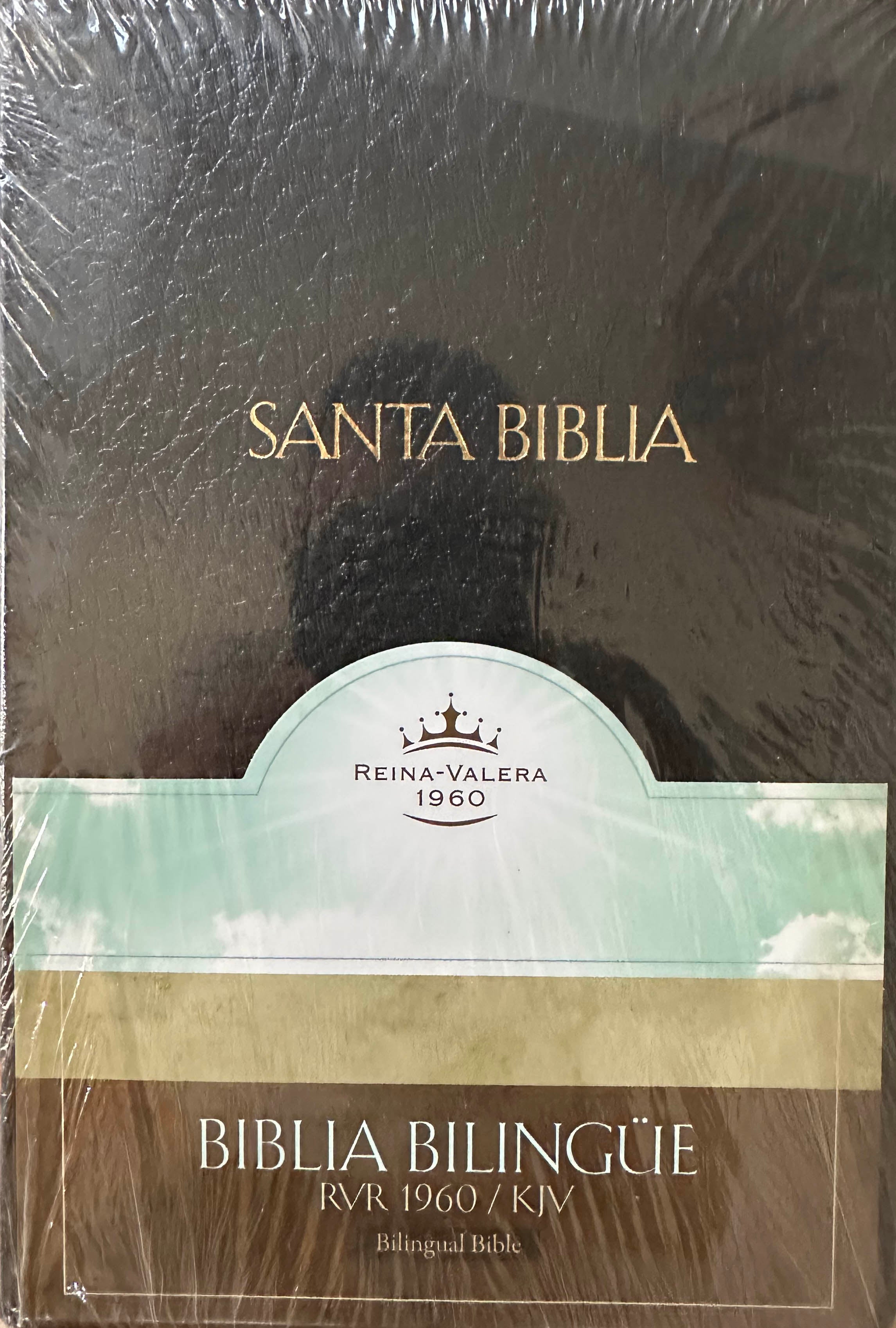 BIBLIA DE ESTUDIO
